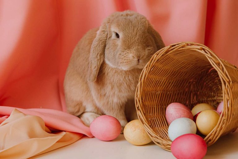 Why are Bunnies and Eggs Symbols of Easter?